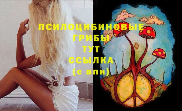 меф Армянск
