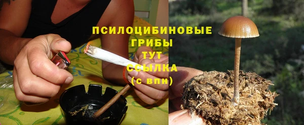 соль курить ск Алексин