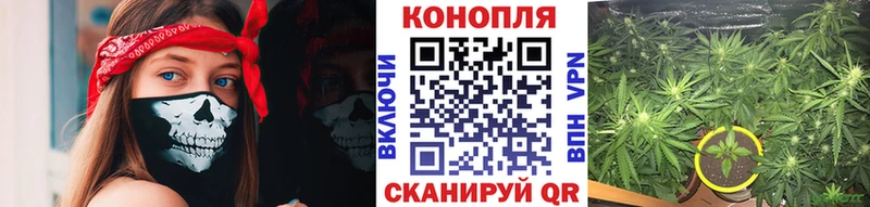 Марихуана AK-47  Купить закладки  Струнино 